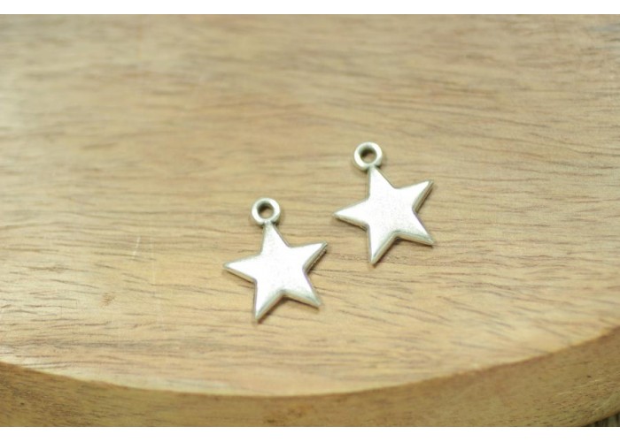 Colgante estrella lisa 13mm